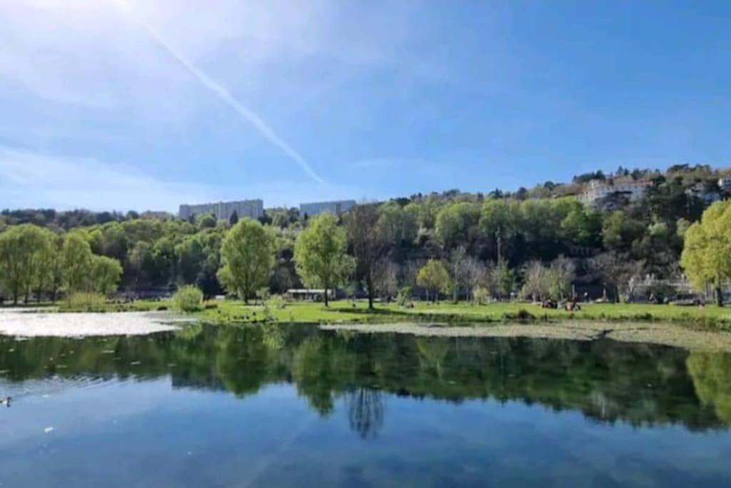 Appartement Dans Peniche Atypique Et Idyllique A Confluence Лион Екстериор снимка